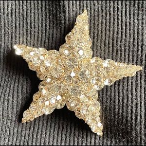 christmas  sparkly star pin